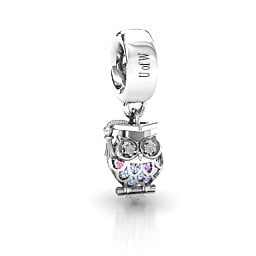 Scholarly Owl Caged Bracelet Charm