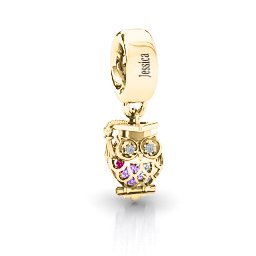 Scholarly Owl Caged Bracelet Charm in 10K Solid Yellow Gold with Amethyst, Cubic Zirconia, Ruby, and Garnet
