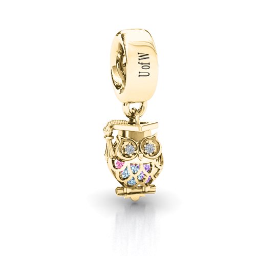 Scholarly Owl Caged Bracelet Charm – 10K Yellow Gold with Aquamarine, Amethyst, Pink Tourmaline, and Cubic Zirconia