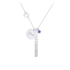 Milestone Necklace with Paw Charm – 10K Yellow Gold with Amethyst