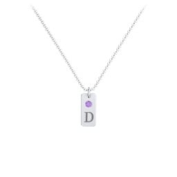 Small Initial Tag Necklace with Birthstone