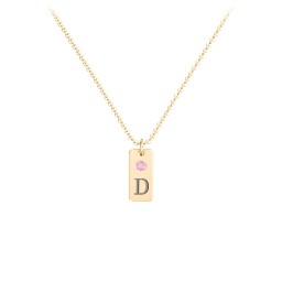 Small Initial Tag Necklace with Birthstone in 18K Gold Plated Silver with Pink Tourmaline, Aquamarine, Cubic Zirconia, Amethyst Premium Zirconia, and Fancy Pink Premium Zirconia