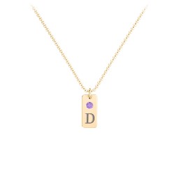 Small Initial Tag Necklace with Birthstone in 18K Gold Plated Silver with Amethyst, Aquamarine, Cubic Zirconia, Amethyst Premium Zirconia, and Fancy Pink Premium Zirconia