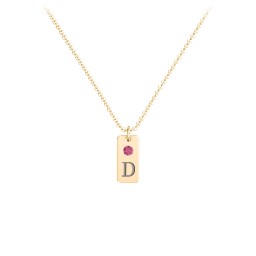 Small Initial Tag Necklace with Birthstone in 18K Gold Plated Silver with Ruby, Aquamarine, Cubic Zirconia, Amethyst Premium Zirconia, and Fancy Pink Premium Zirconia