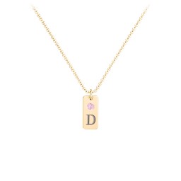 Small Initial Tag Necklace with Birthstone in 18K Gold Plated Silver with Pink Tourmaline, Aquamarine, Cubic Zirconia, Amethyst Premium Zirconia, and Fancy Pink Premium Zirconia