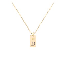 Small Initial Tag Necklace with Birthstone in 18K Gold Plated Silver with Citrine, Aquamarine, Cubic Zirconia, Amethyst Premium Zirconia, and Fancy Pink Premium Zirconia