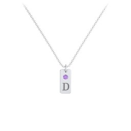 Small Initial Tag Necklace with Birthstone in 925 Sterling Silver with Amethyst