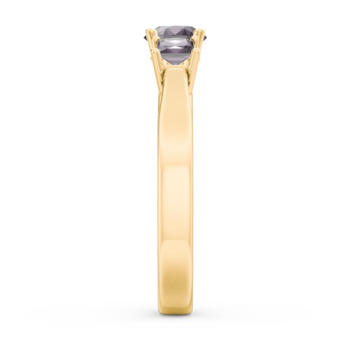 Three Stone Eternity with Princess Accents Ring – 10K Yellow Gold with Alexandrite