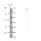 Diamond Cut Cable Chain Extender 2.5+2.5cm