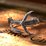 Carmilla - Hastur Ring – Sterling Silver