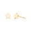 Star Shaped Stud Earrings