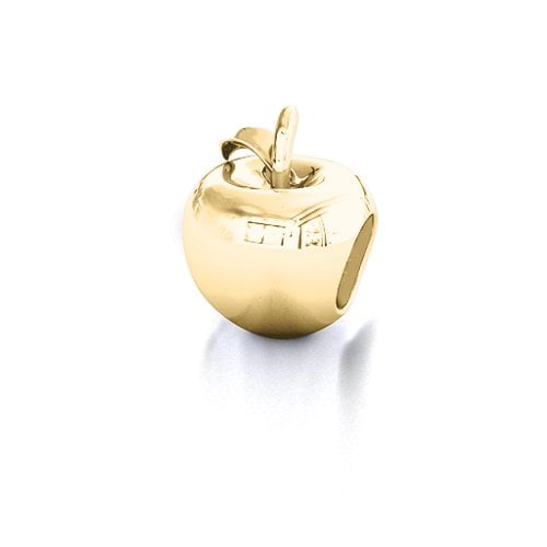 Apple of my Eye Bracelet Charm