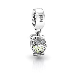 Scholarly Owl Caged Bracelet Charm in 925 Sterling Silver with Peridot and Garnet