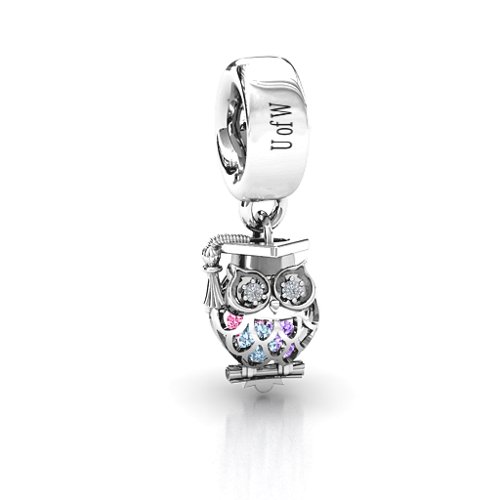 Scholarly Owl Caged Bracelet Charm – Sterling Silver with Aquamarine, Amethyst, Pink Tourmaline, and Cubic Zirconia