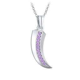 Men's Engravable Claw Necklace with Gemstones in 925 Sterling Silver with Amethyst