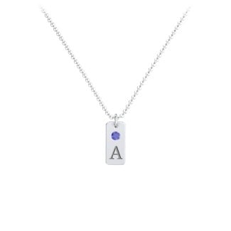 Small Initial Tag Necklace with Birthstone