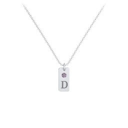 Small Initial Tag Necklace with Birthstone in 925 Sterling Silver with Alexandrite