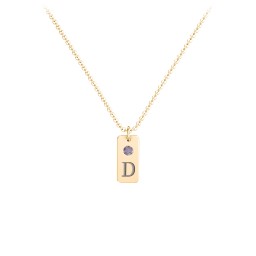 Small Initial Tag Necklace with Birthstone in 9K Solid Yellow Gold with Alexandrite