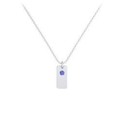 Small Initial Tag Necklace with Birthstone