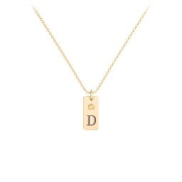 Small Initial Tag Necklace with Birthstone