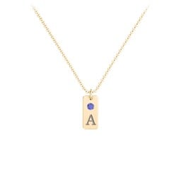 Small Initial Tag Necklace with Birthstone