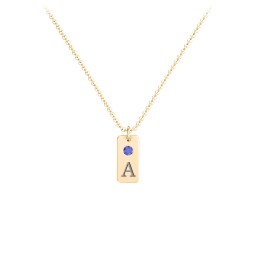 Small Initial Tag Necklace with Birthstone in 18K Gold Plated Silver with Fancy Blue Premium Zirconia, Aquamarine, Cubic Zirconia, Amethyst Premium Zirconia, and Fancy Pink Premium Zirconia