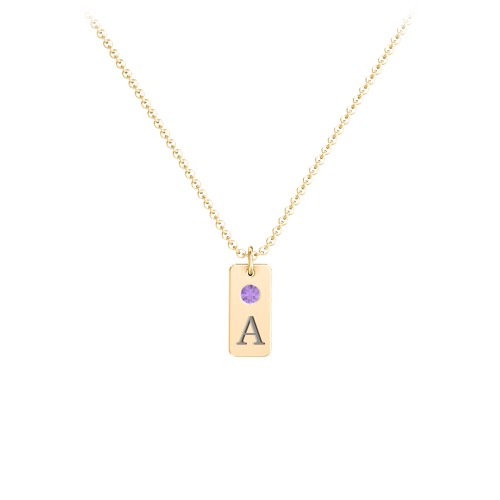 Small Initial Tag Necklace with Birthstone