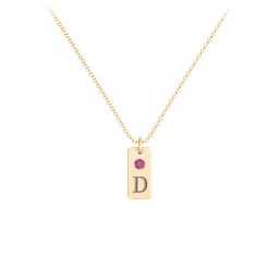Small Initial Tag Necklace with Birthstone in 18K Gold Plated Silver with Ruby, Aquamarine, Cubic Zirconia, Amethyst Premium Zirconia, and Fancy Pink Premium Zirconia