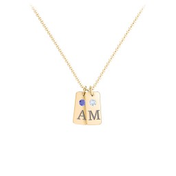 Small Initial 2 Tag Necklace with Birthstone in 18K Gold Plated Silver with Fancy Blue Premium Zirconia, Aquamarine, Cubic Zirconia, Amethyst Premium Zirconia, and Fancy Pink Premium Zirconia
