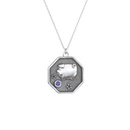 Year of the Pig Engravable Zodiac Medallion Necklace