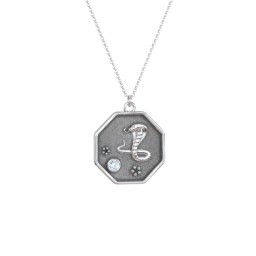 Year of the Snake Engravable Zodiac Medallion Necklace in 925 Sterling Silver with Aquamarine